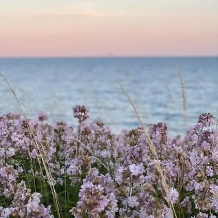 Idyllisk Bondehus Taet Pa Stranden