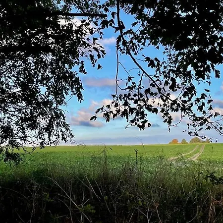 Idyllisk Bondehus Taet Pa Stranden Stege